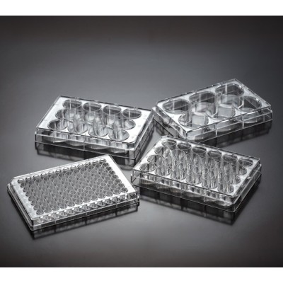 6well/12well/24well/48well/96well multiwell plates cell and tissue culture plates flat bottom with suface-treated