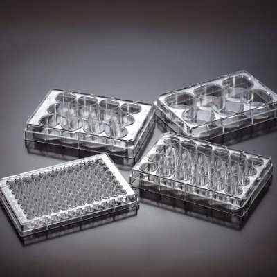 plastic lab consumable cell culture plates multiwell plate